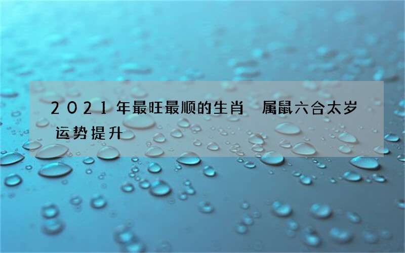 2021年最旺最顺的生肖 属鼠六合太岁运势提升